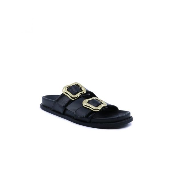 Chinelo De Fivelas